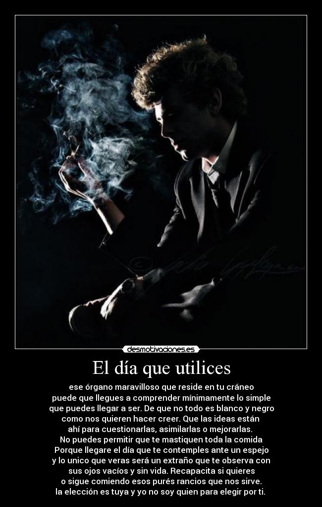 carteles dia que utilices desmotivaciones