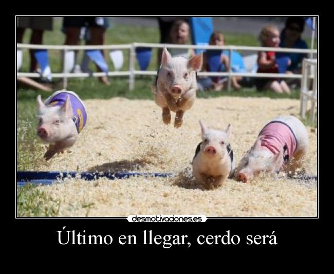 Último en llegar, cerdo será -