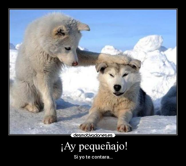 ¡Ay pequeñajo! - 