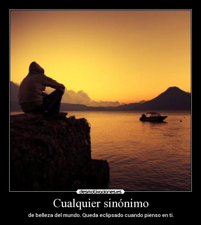 carteles cualquier sinonimo desmotivaciones