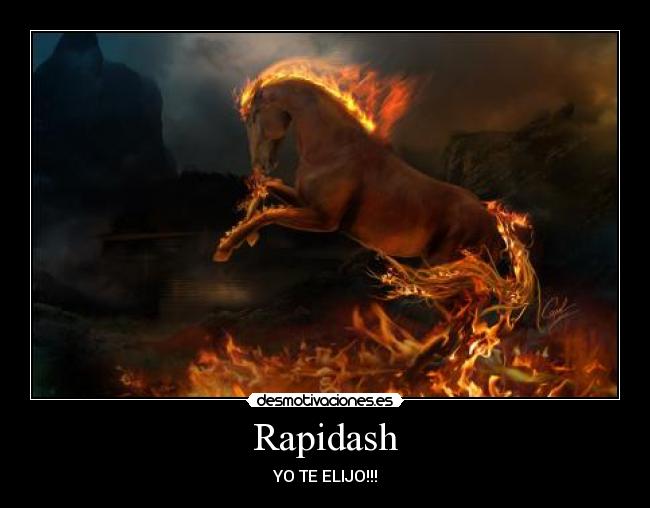 Rapidash - 