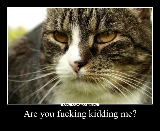 Are you fucking kidding me? - 