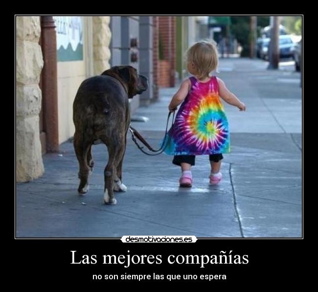 Las mejores compañías -