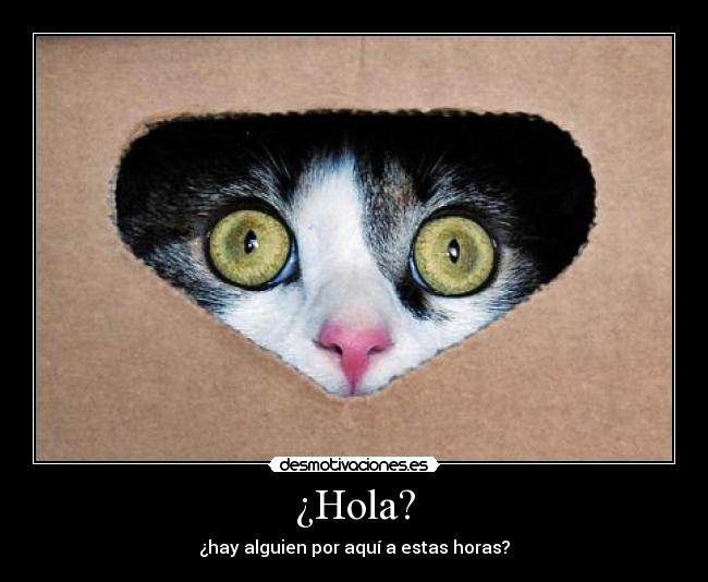 ¿Hola? - 