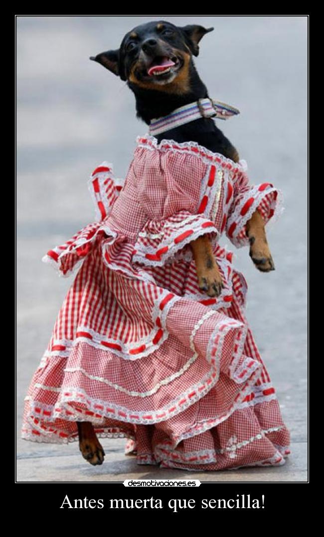 Antes muerta que sencilla! -