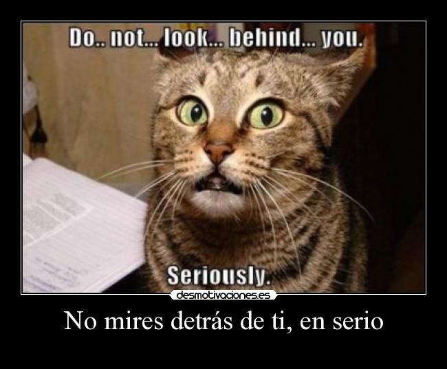 No mires detrás de ti, en serio -