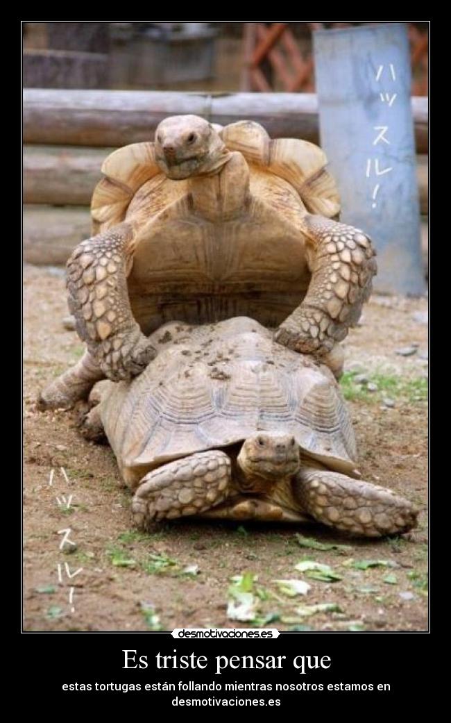 Es triste pensar que - 