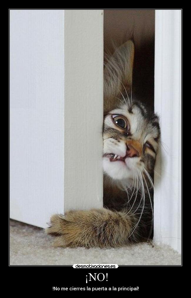 ¡NO! - 