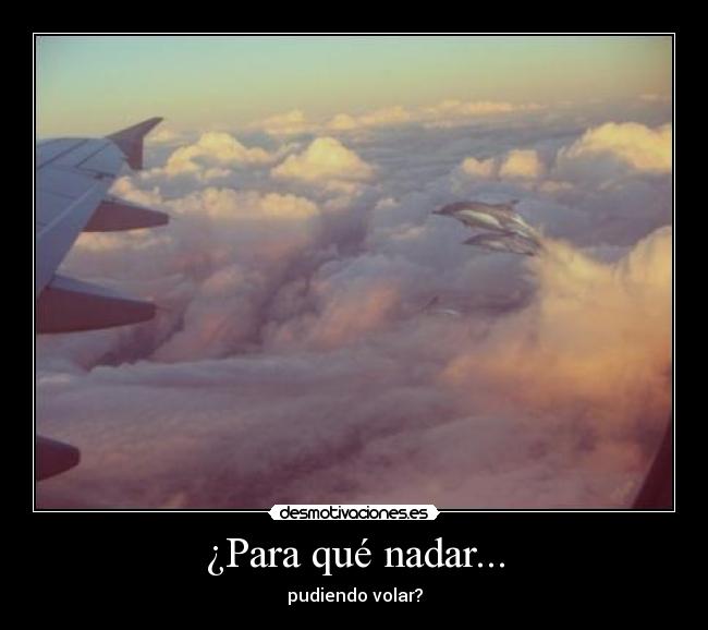 ¿Para qué nadar... - pudiendo volar?