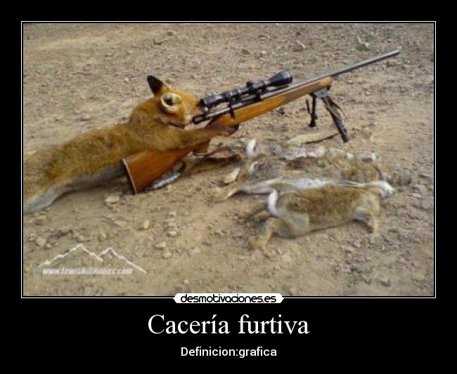 Cacería furtiva - Definicion:grafica