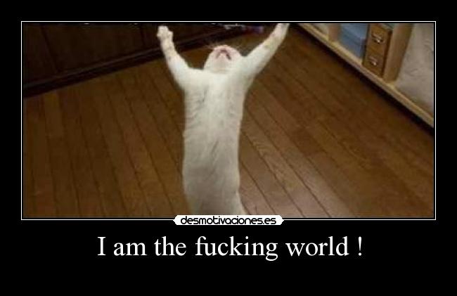 carteles gato desmotivaciones