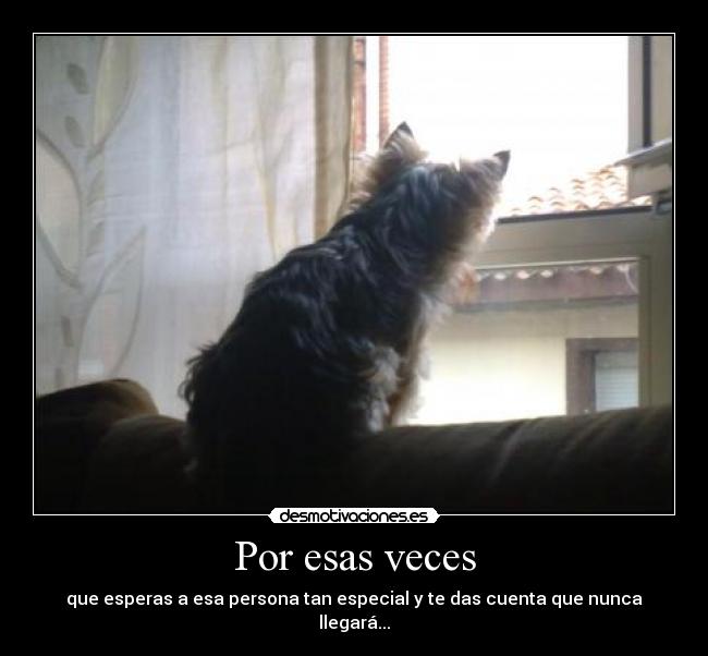 carteles por esas veces que esperas desmotivaciones