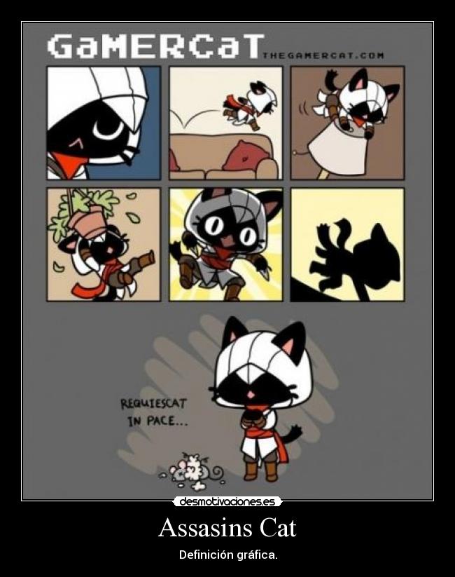 Assasins Cat - Definición gráfica.