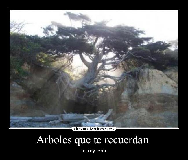 Arboles que te recuerdan -