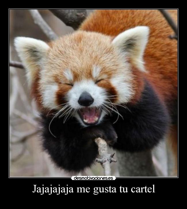 Jajajajaja me gusta tu cartel - 