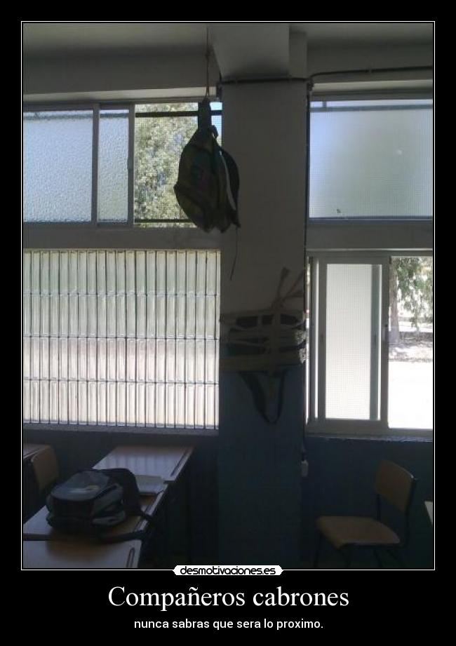 carteles companeros cabrones desmotivaciones