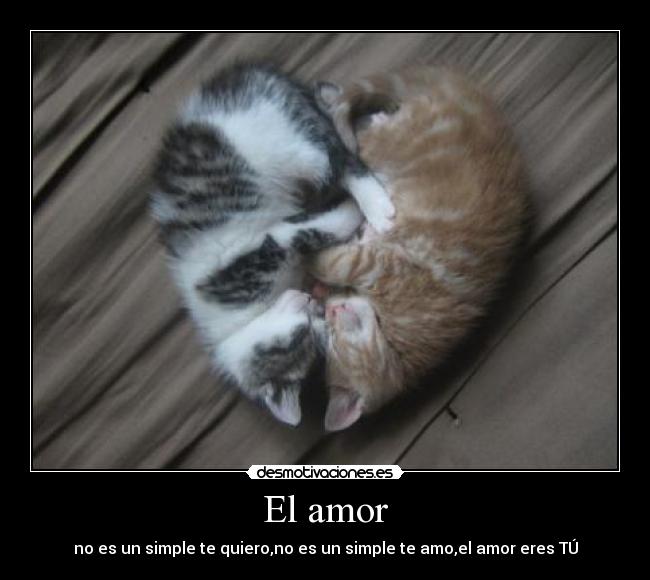 El amor - no es un simple te quiero,no es un simple te amo,el amor eres TÚ