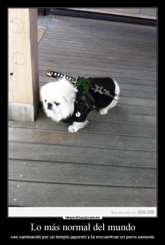 Lo más normal del mundo -