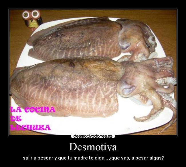 carteles chocos algas desmotiva desmotivaciones