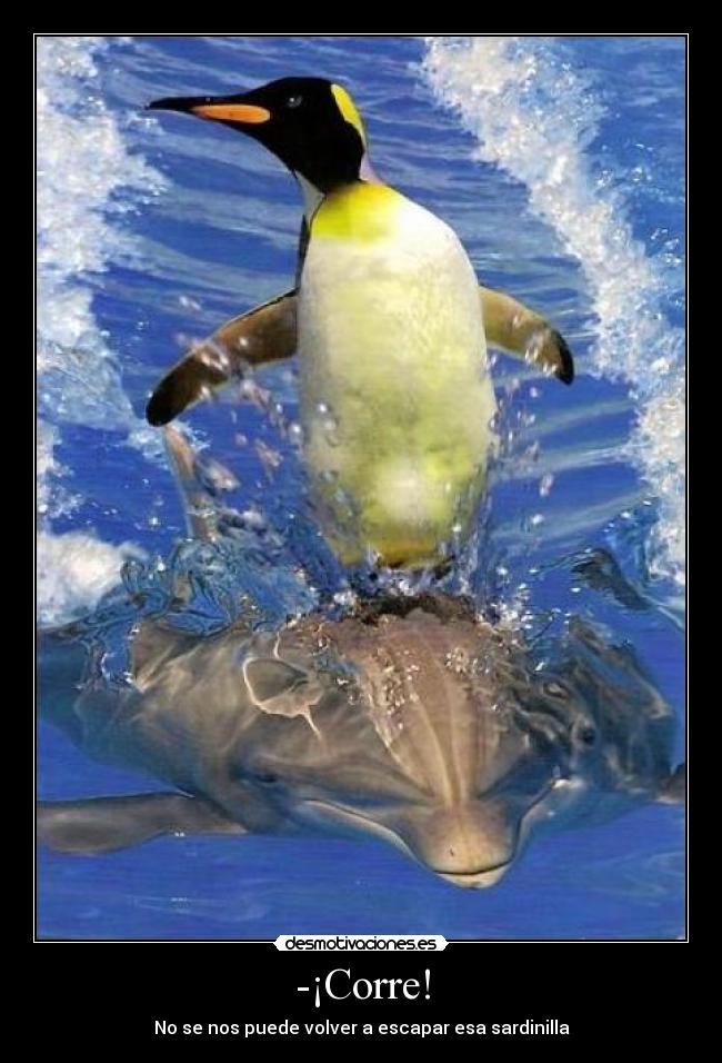 -¡Corre! -