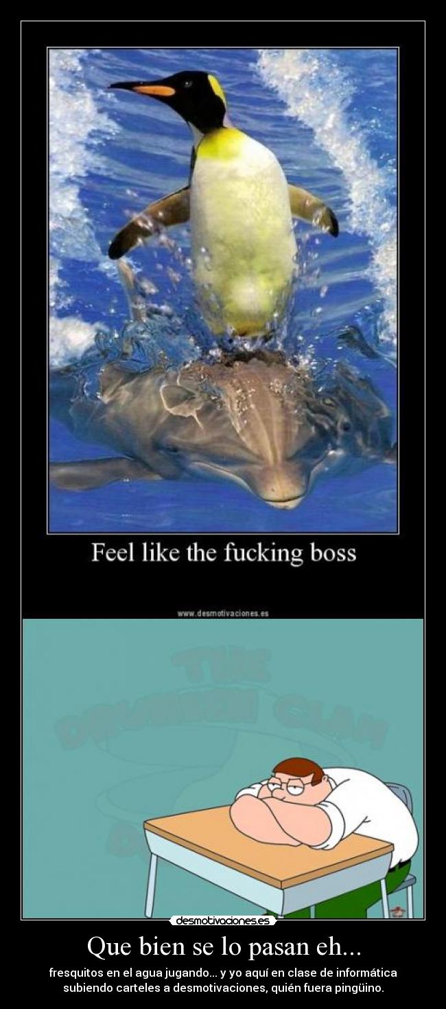 Que bien se lo pasan eh... - fresquitos en el agua jugando... y yo aquí en clase de informática
subiendo carteles a desmotivaciones, quién fuera pingüino.