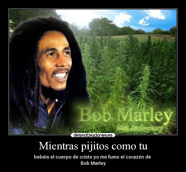 carteles mientras pijitos como desmotivaciones