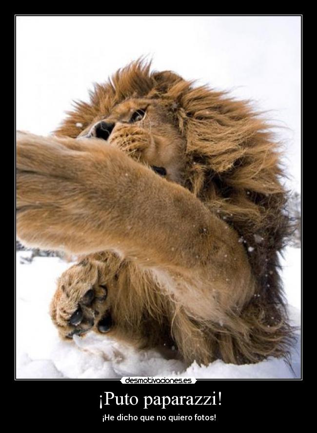 ¡Puto paparazzi! -