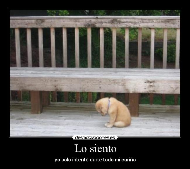 Lo siento - 