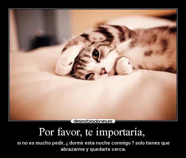 Por favor, te importaría, -