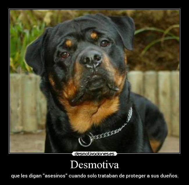 Desmotiva - 
