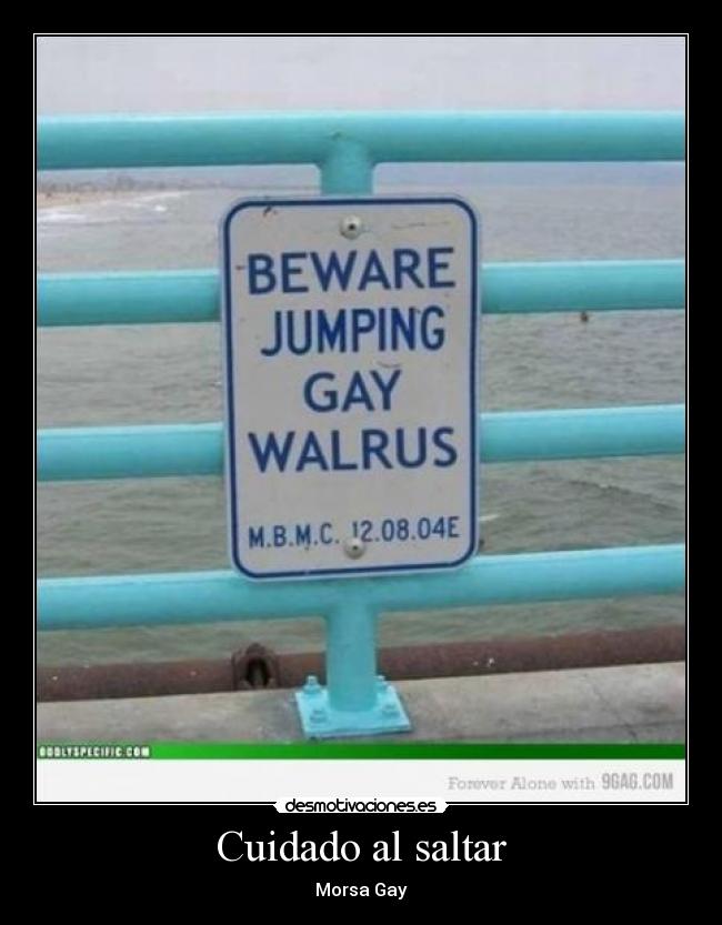 Cuidado al saltar - Morsa Gay