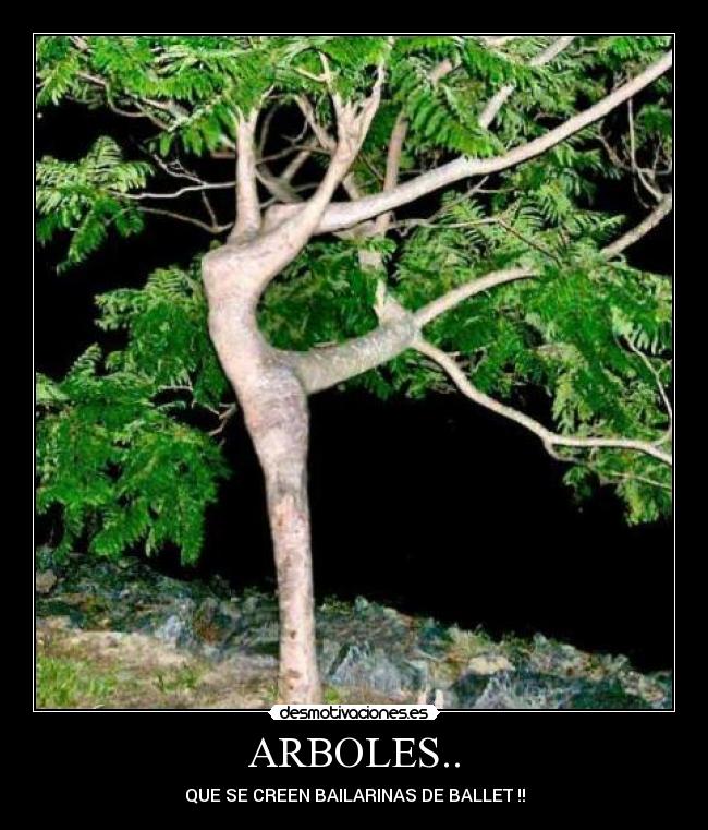 ARBOLES.. -