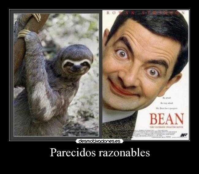 Parecidos razonables - 