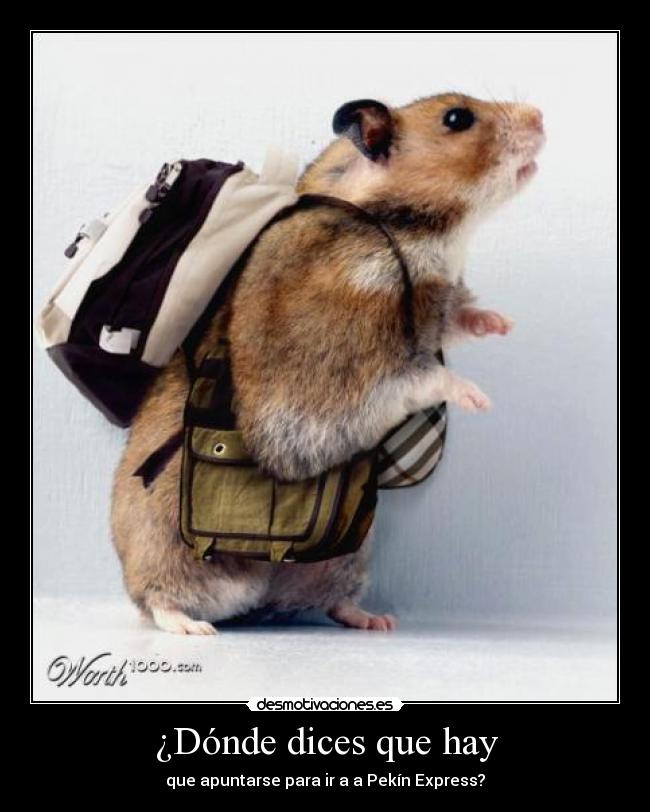 ¿Dónde dices que hay - que apuntarse para ir a a Pekín Express?