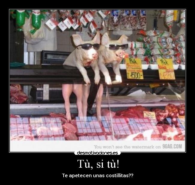 Tù, si tù! - Te apetecen unas costillitas??