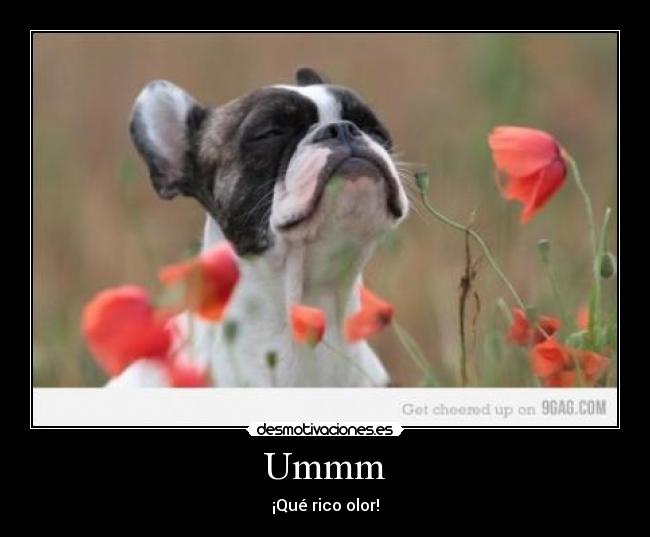 Ummm - ¡Qué rico olor!