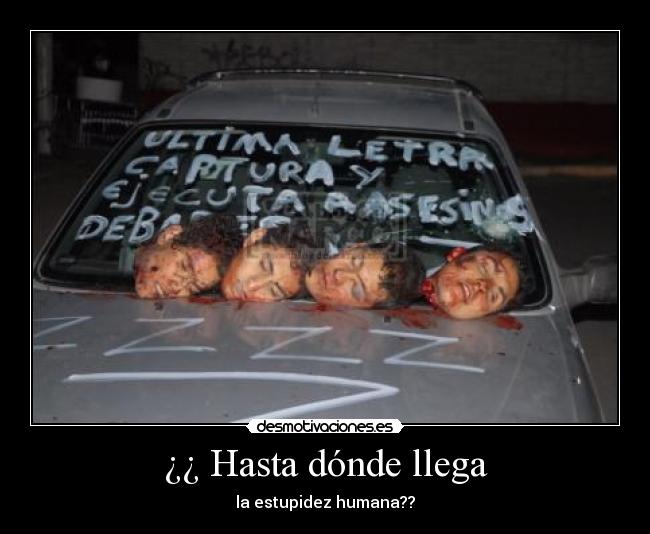 ¿¿ Hasta dónde llega - la estupidez humana??