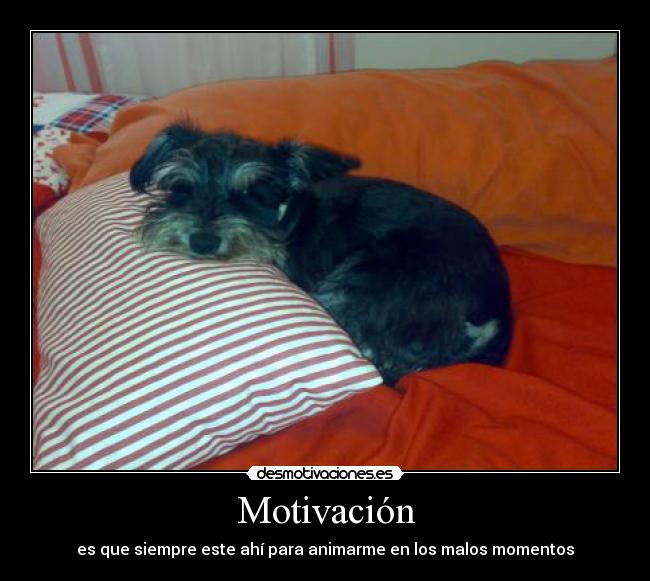 Motivación -