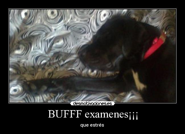 BUFFF examenes¡¡¡ - 