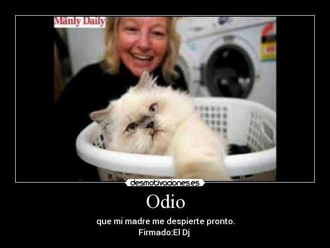 carteles odio mono desmotivaciones