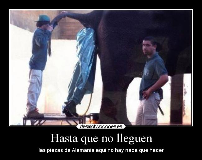 Hasta que no lleguen - las piezas de Alemania aqui no hay nada que hacer
