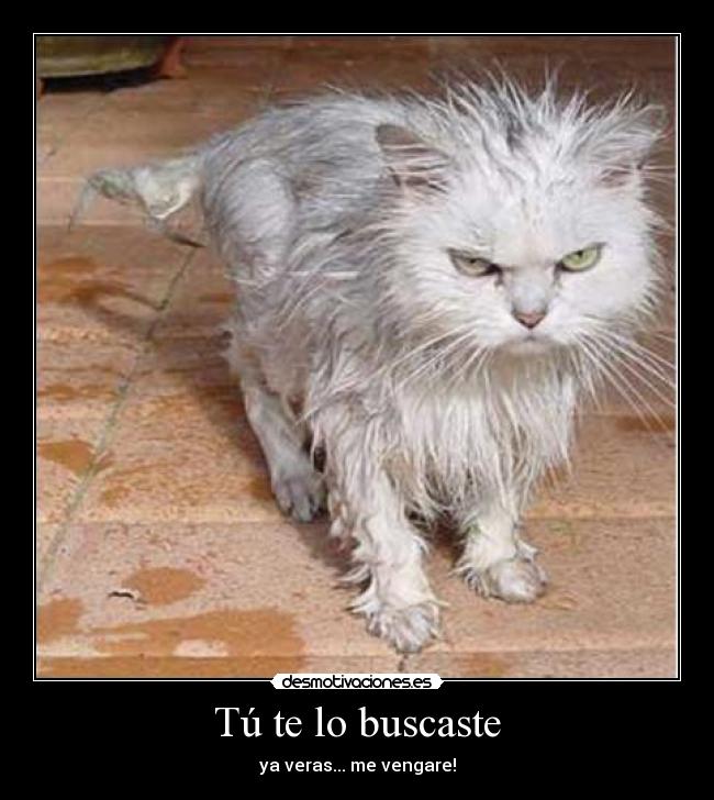 Tú te lo buscaste - ya veras... me vengare!