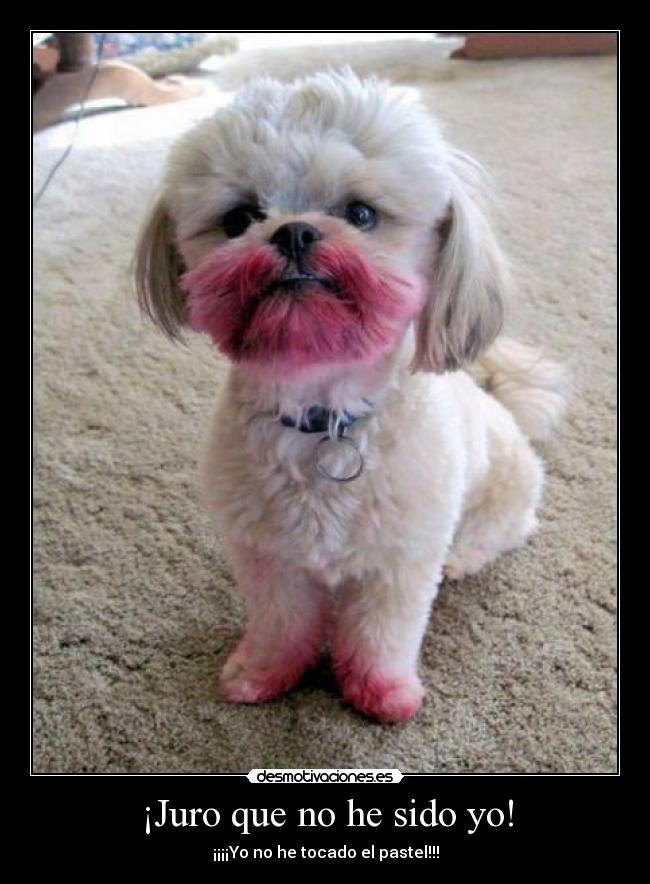 ¡Juro que no he sido yo! - ¡¡¡¡Yo no he tocado el pastel!!!