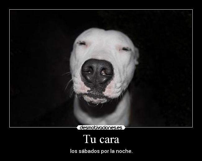 Tu cara - los sábados por la noche.