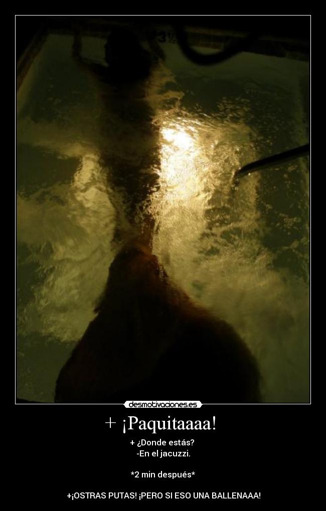 + ¡Paquitaaaa! - + ¿Donde estás?
-En el jacuzzi.
*2 min después*
+¡OSTRAS PUTAS! ¡PERO SI ESO UNA BALLENAAA!
