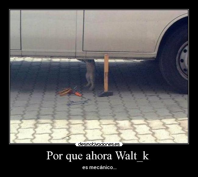 Por que ahora Walt_k -