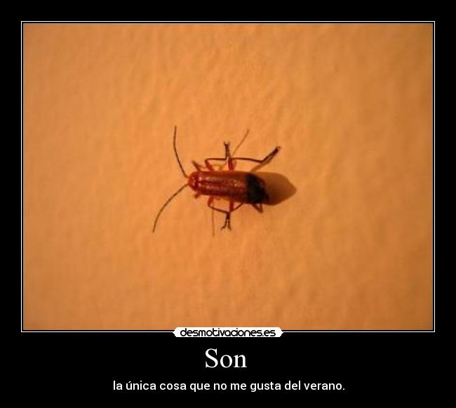 Son  - la única cosa que no me gusta del verano.