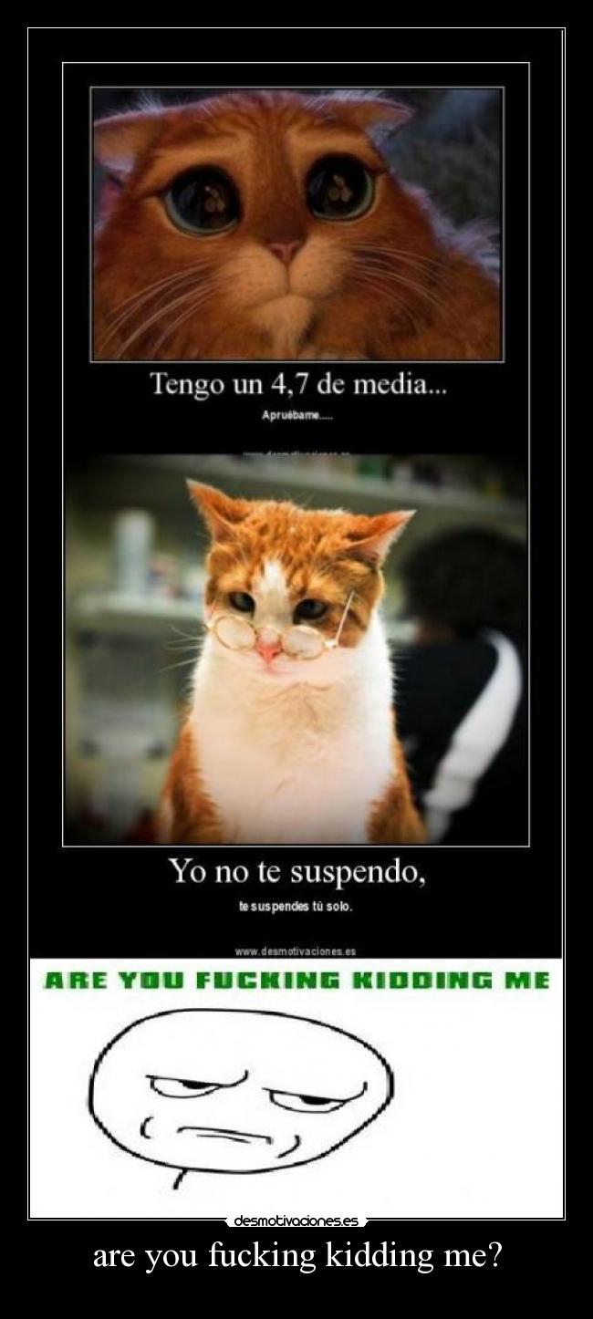 are you fucking kidding me? -