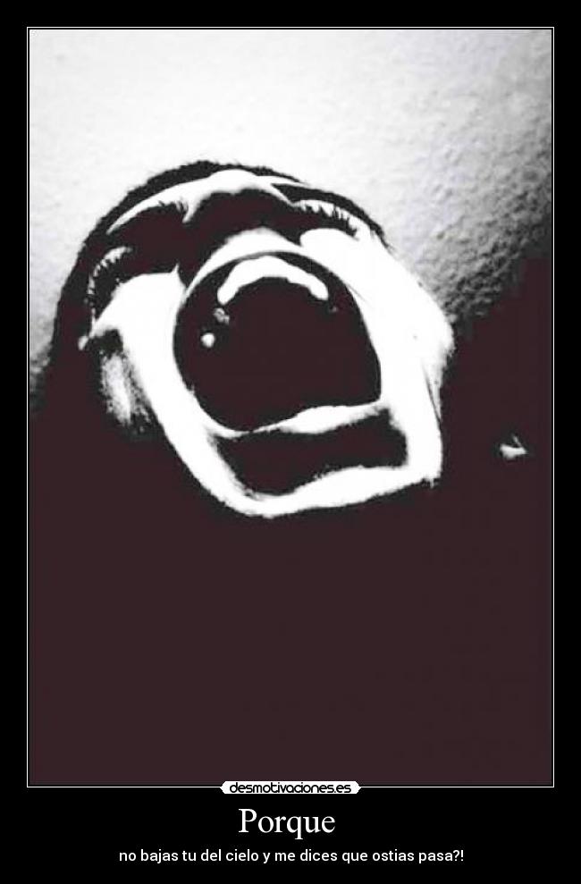 Porque - no bajas tu del cielo y me dices que ostias pasa?!