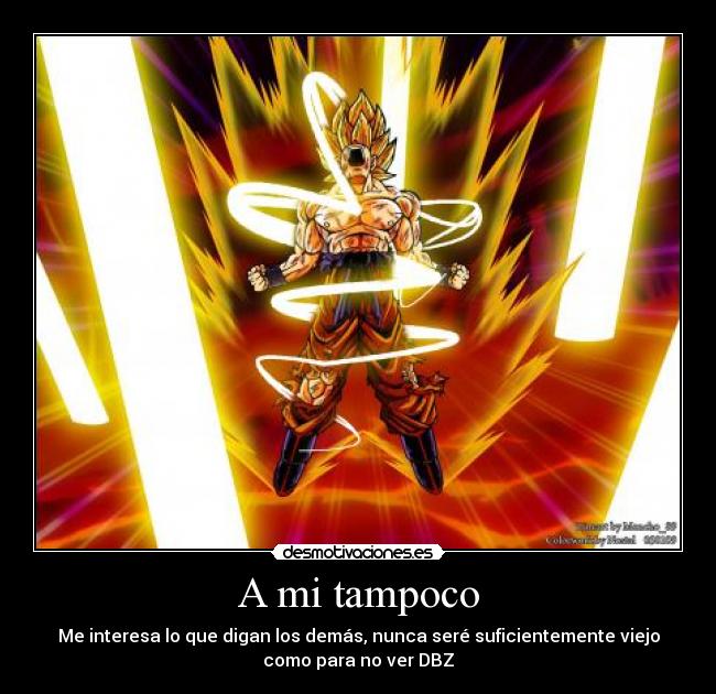 A mi tampoco - Me interesa lo que digan los demás, nunca seré suficientemente viejo
como para no ver DBZ